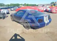 2007 Ford MUSTANG photo