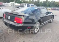 2007 Ford MUSTANG фото