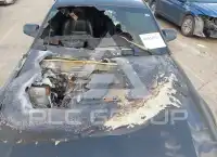 2007 Ford MUSTANG фото