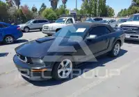 2007 Ford MUSTANG фото