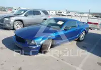 2007 Ford MUSTANG фото
