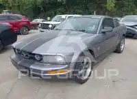 2007 Ford MUSTANG photo