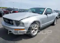2007 Ford MUSTANG photo