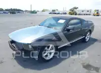 2007 Ford MUSTANG photo