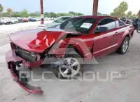 2007 Ford MUSTANG photo