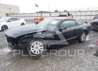 2007 Ford MUSTANG photo