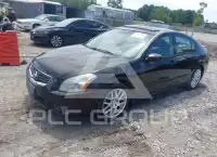 2008 Nissan MAXIMA photo