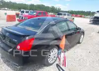 2008 Nissan MAXIMA photo