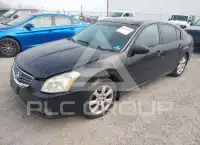 2008 Nissan MAXIMA photo