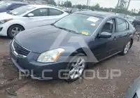 2008 Nissan MAXIMA photo