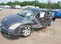 2008 Nissan ALTIMA фото