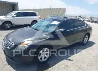 2008 Nissan ALTIMA фото