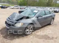 2008 Chevrolet Malibu фото