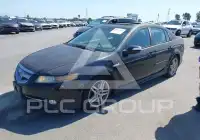 2008 Acura TL фото