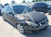 2008 Honda Accord photo