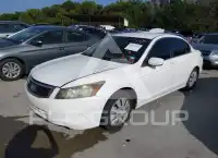 2008 Honda Accord фото