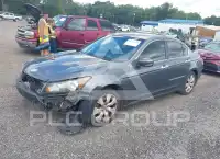 2008 Honda Accord photo