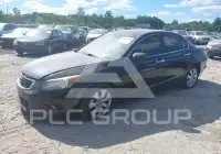 2008 Honda Accord photo