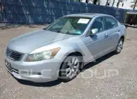 2008 Honda Accord фото