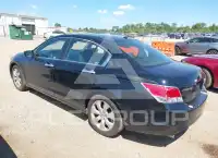 2008 Honda Accord фото