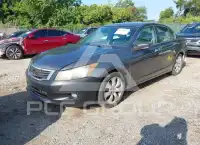 2008 Honda Accord фото
