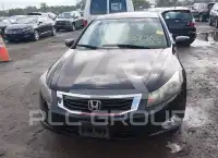 2008 Honda Accord photo
