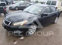 2008 Honda Accord photo