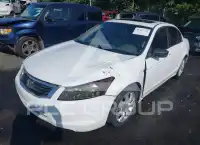 2008 Honda Accord photo