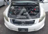 2008 Honda Accord фото