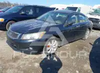 2008 Honda Accord фото