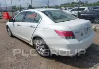 2008 Honda Accord фото