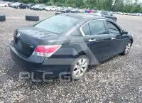 2008 Honda Accord photo