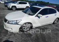 2008 Honda Accord фото