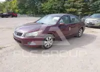 2008 Honda Accord photo