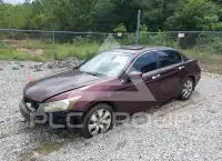 2008 Honda Accord photo