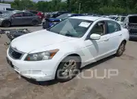 2008 Honda Accord фото