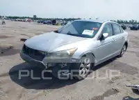 2008 Honda Accord photo