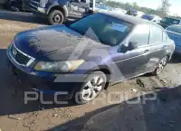 2008 Honda Accord photo
