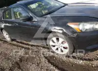 2008 Honda Accord фото