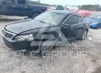 2008 Honda Accord photo