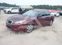 2008 Honda Accord фото