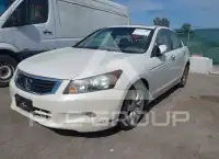2008 Honda Accord фото