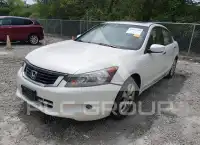 2008 Honda Accord photo