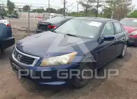 2008 Honda Accord фото