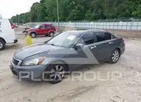 2008 Honda Accord фото
