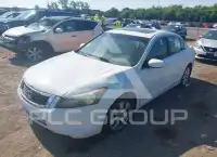 2008 Honda Accord фото