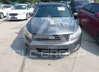 2008 Honda Accord photo