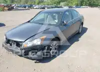 2008 Honda Accord фото