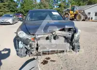 2008 Honda Accord photo