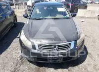 2008 Honda Accord фото